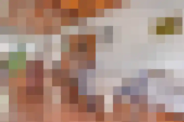 Erfgenamenweg 52 Zwolle thumbnail 15