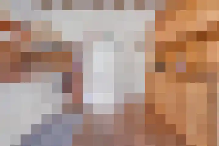 Erfgenamenweg 52 Zwolle thumbnail 16
