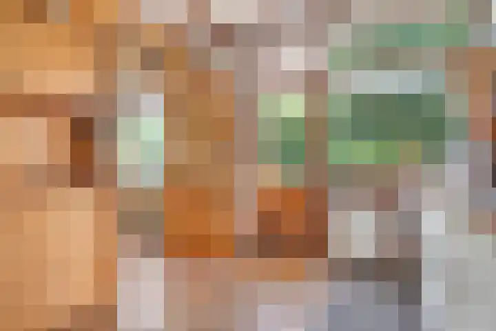 Erfgenamenweg 52 Zwolle thumbnail 17
