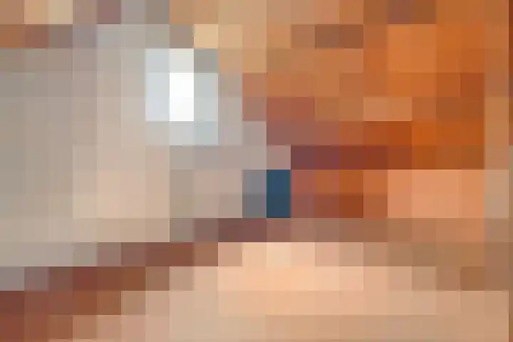 Erfgenamenweg 52 Zwolle thumbnail 31