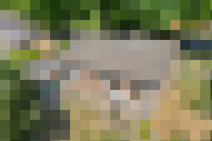 Erfgenamenweg 52 Zwolle thumbnail 36