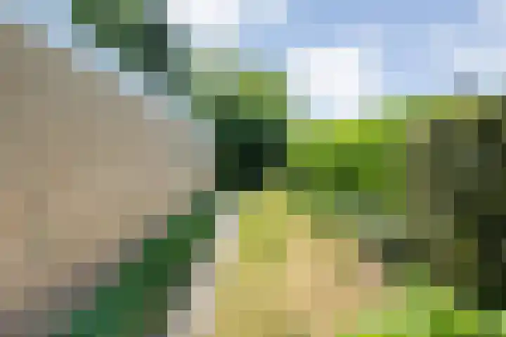 Erfgenamenweg 52 Zwolle thumbnail 38
