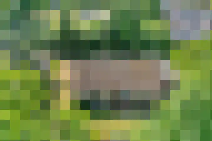 Erfgenamenweg 52 Zwolle thumbnail 4