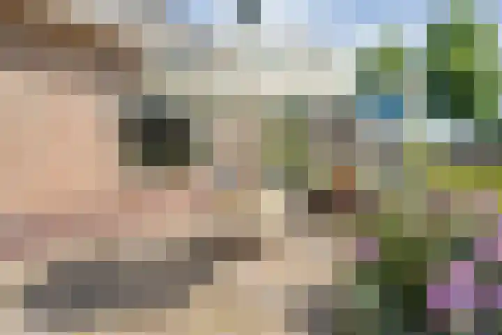Erfgenamenweg 52 Zwolle thumbnail 42