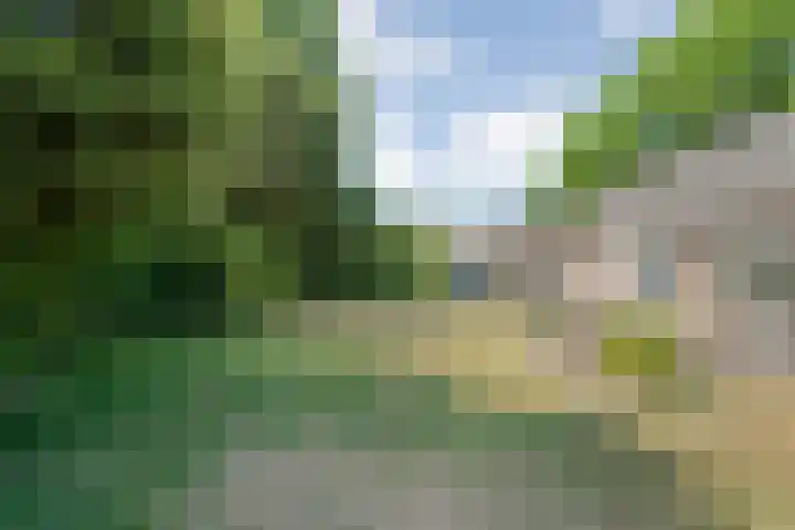 Erfgenamenweg 52 Zwolle thumbnail 44
