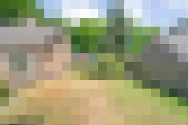 Erfgenamenweg 52 Zwolle thumbnail 45