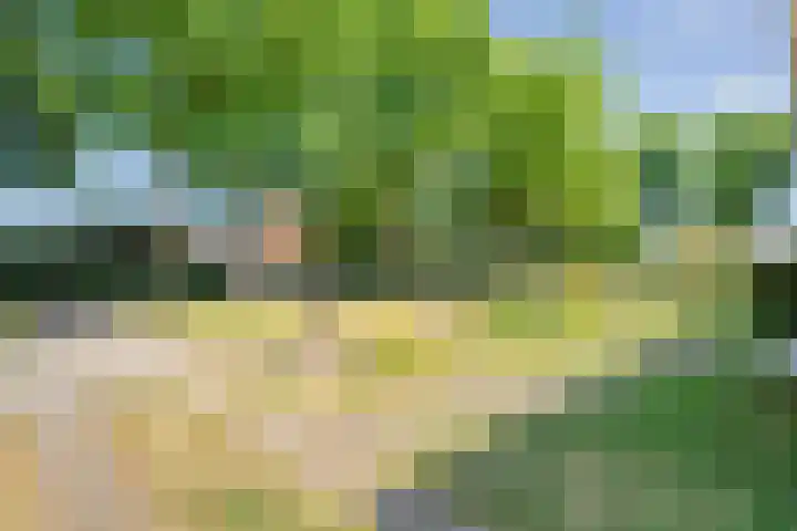 Erfgenamenweg 52 Zwolle thumbnail 46