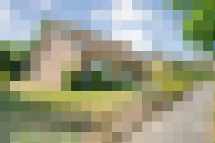 Erfgenamenweg 52 Zwolle thumbnail 48