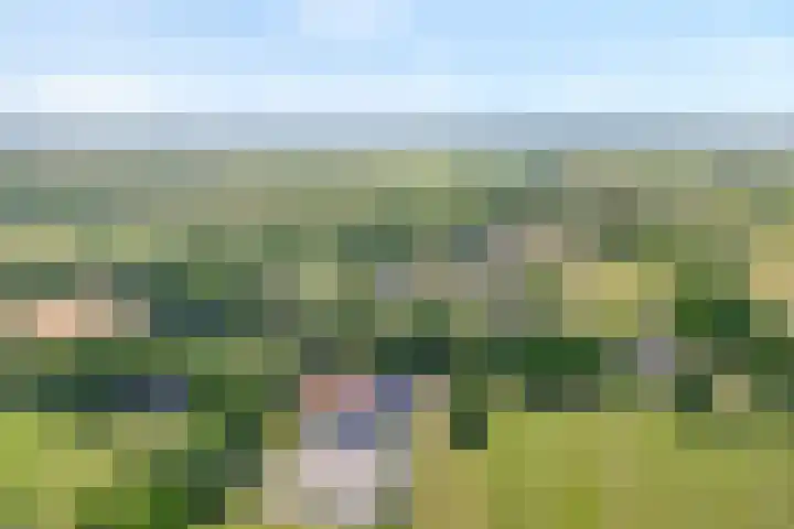 Erfgenamenweg 52 Zwolle thumbnail 6