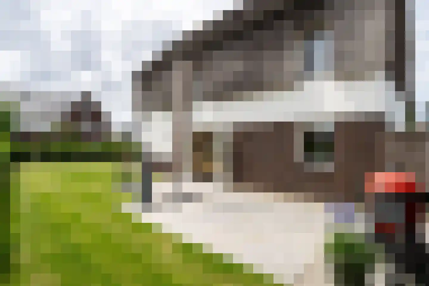 Erfgooiersdreef 2 a Blaricum thumbnail 22