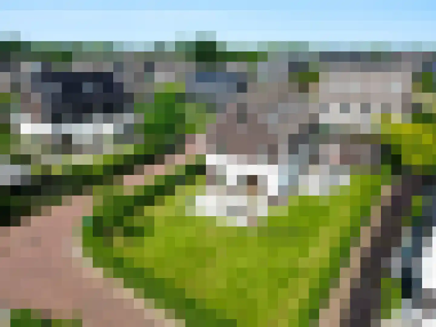 Erfgooiersdreef 2 a Blaricum foto 3