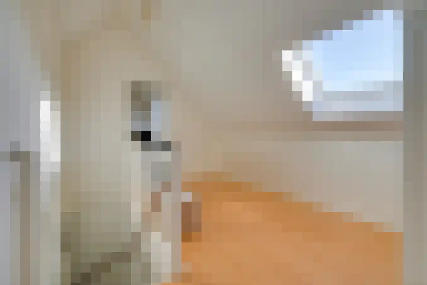 Erfgooiersdreef 2 a Blaricum thumbnail 41