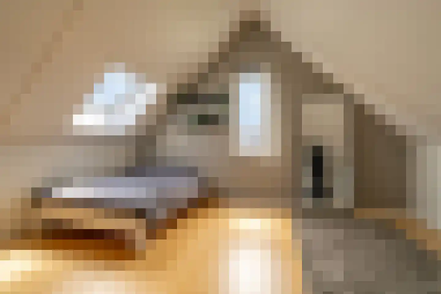 Erfgooiersdreef 2 a Blaricum thumbnail 44