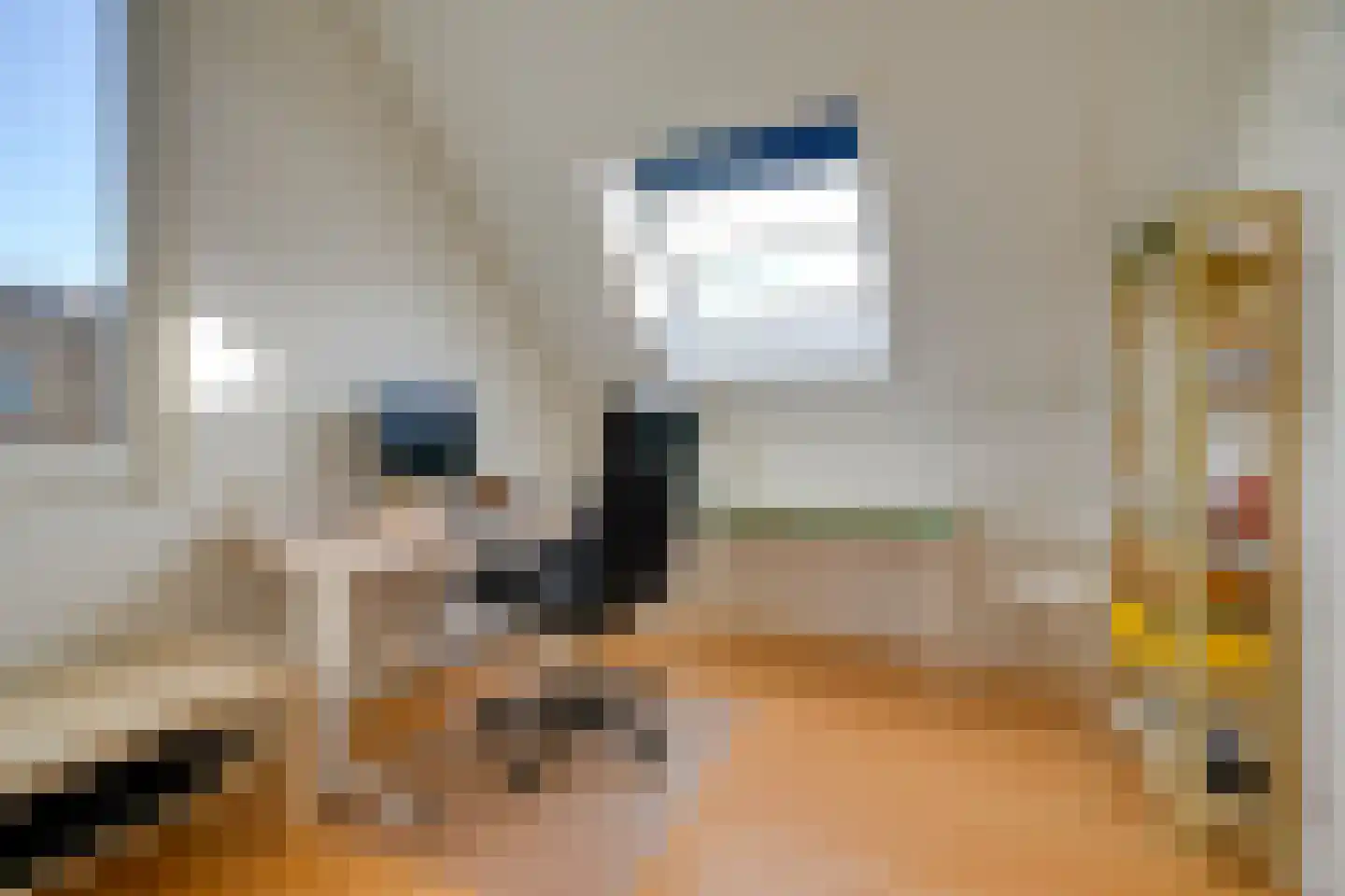 Erfgooiersdreef 2 a Blaricum thumbnail 45