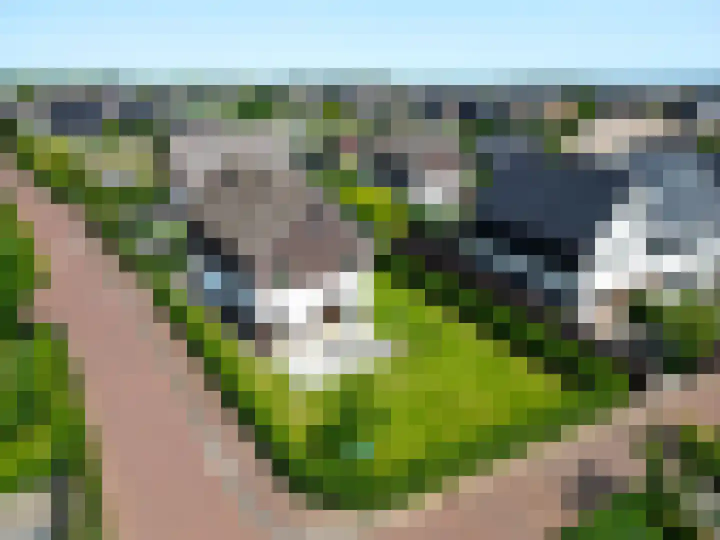 Erfgooiersdreef 2 a Blaricum thumbnail 55