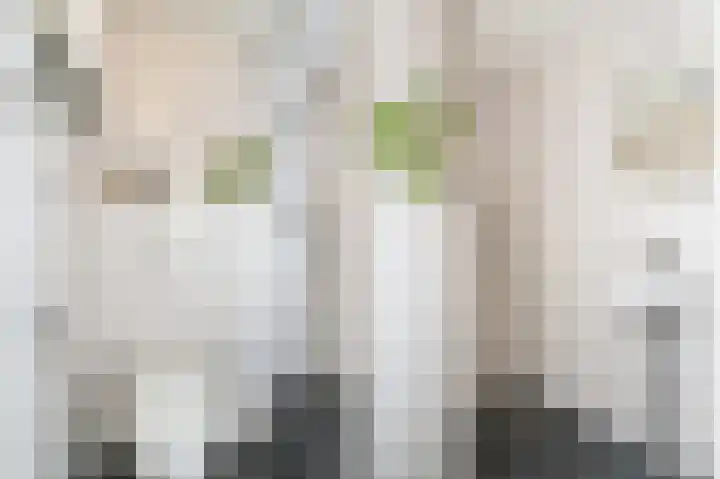 Erfgooiersstraat 253 Hilversum thumbnail 12