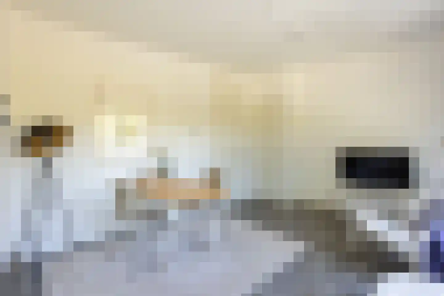 Erfgooiersstraat 259 Hilversum thumbnail 11