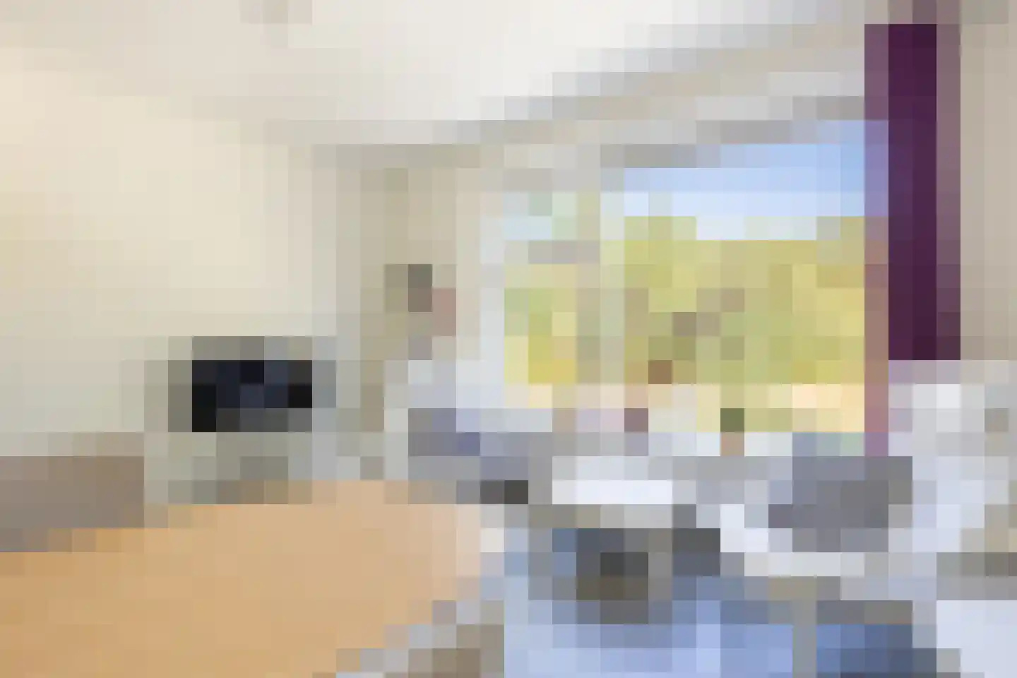 Erfgooiersstraat 259 Hilversum thumbnail 9