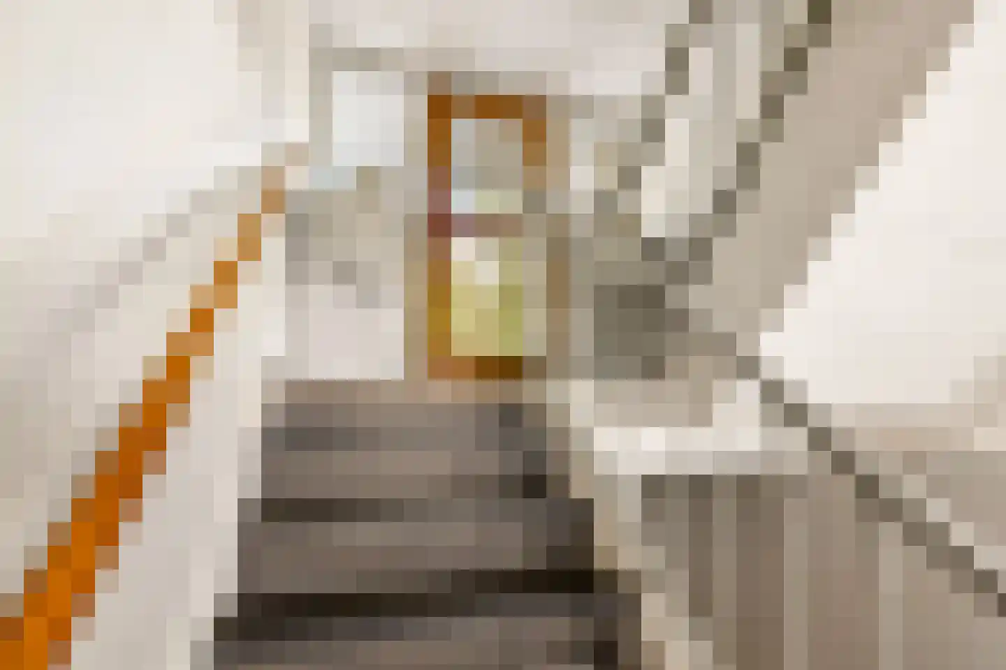 Erfgooiersstraat 541 Hilversum thumbnail 10