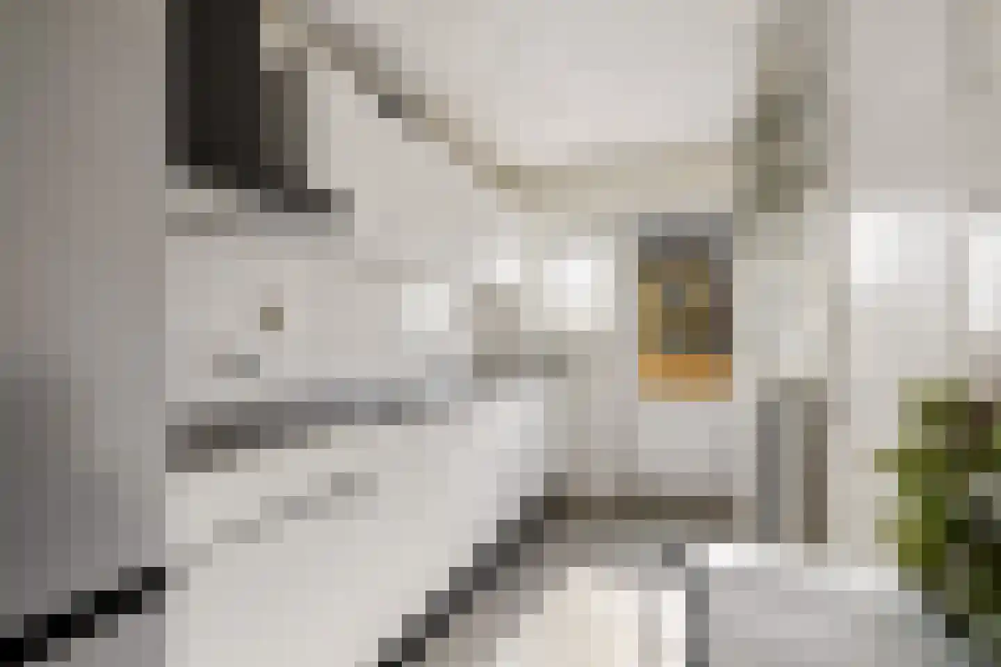Erfgooiersstraat 541 Hilversum thumbnail 5