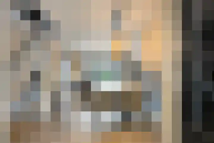 Erfgooiersstraat 586 Hilversum thumbnail 12