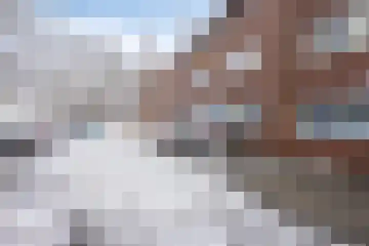 Erfgooiersstraat 586 Hilversum thumbnail 30