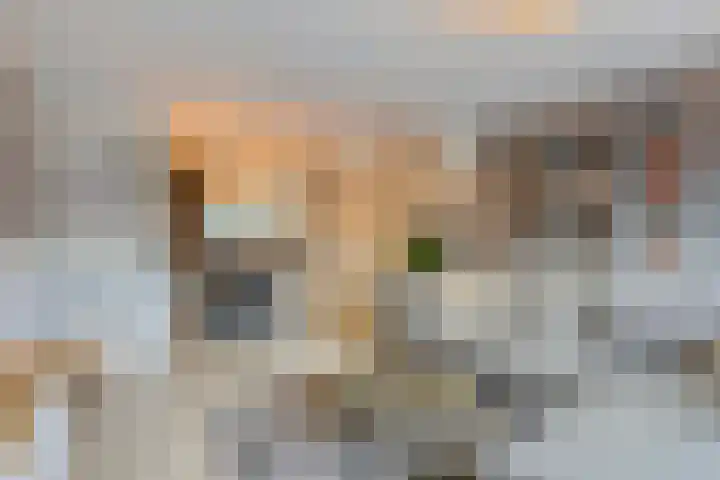 Erfgooiersstraat 586 Hilversum thumbnail 4