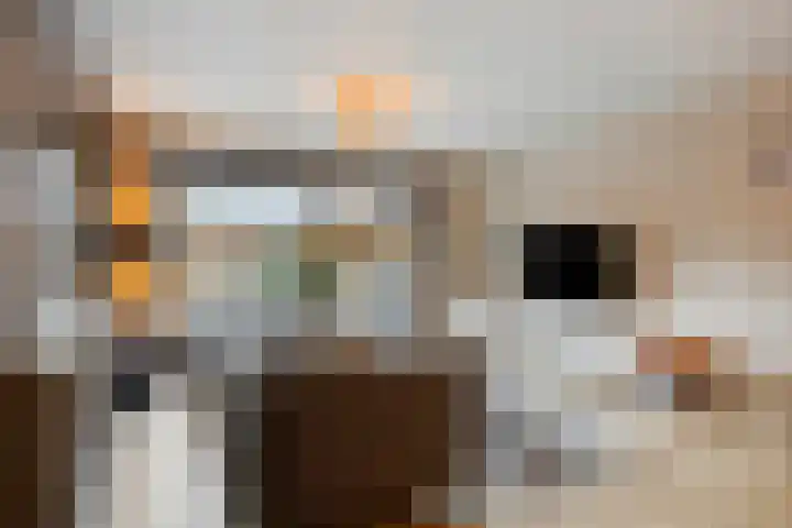 Erfgooiersstraat 586 Hilversum thumbnail 6