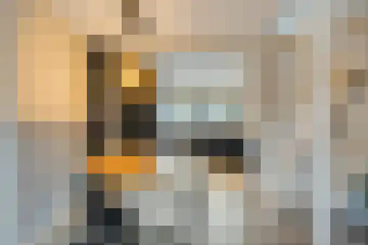 Erfgooiersstraat 586 Hilversum thumbnail 8