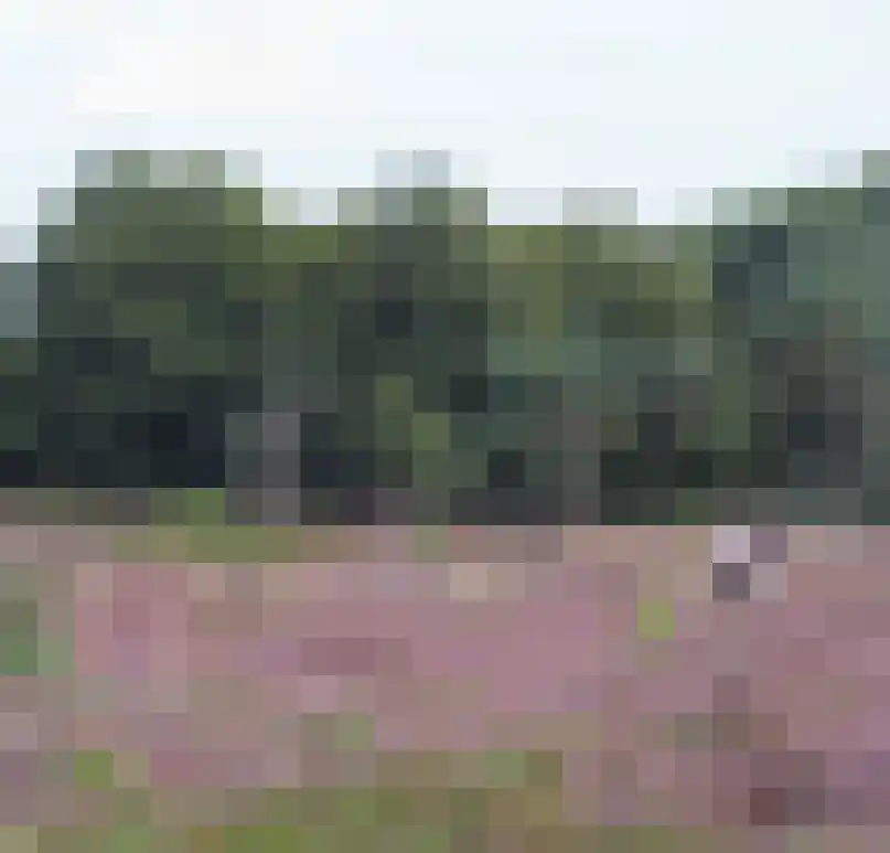 Erfgooiersstraat 589 Hilversum thumbnail 24