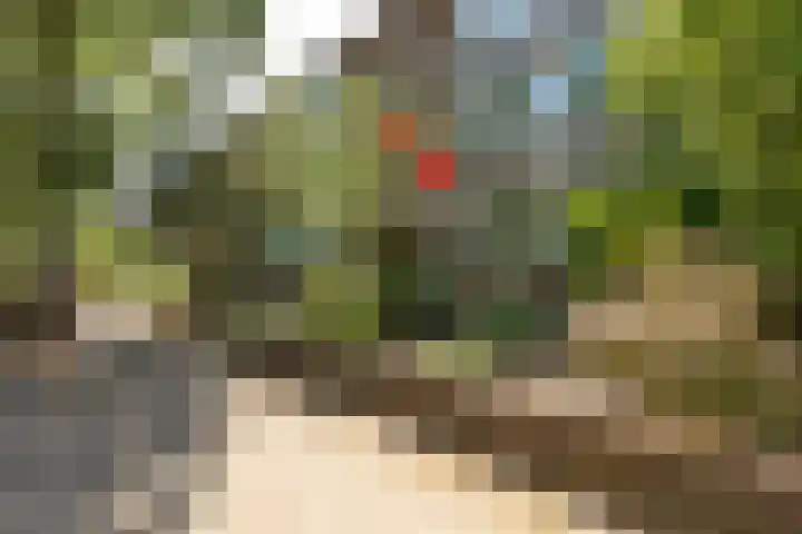 Erfgooiersstraat 599 Hilversum thumbnail 21