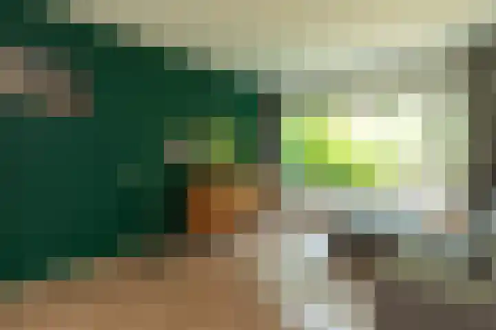 Erfgooiersstraat 599 Hilversum thumbnail 5