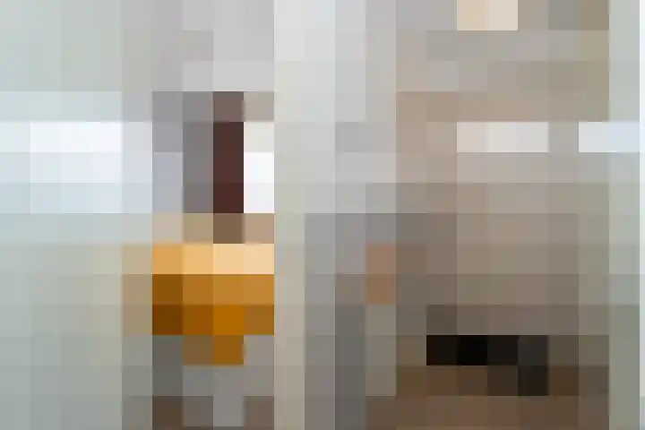 Erfgooiersstraat 604 Hilversum thumbnail 15