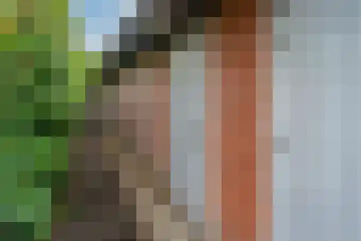 Erfgooiersstraat 604 Hilversum thumbnail 21