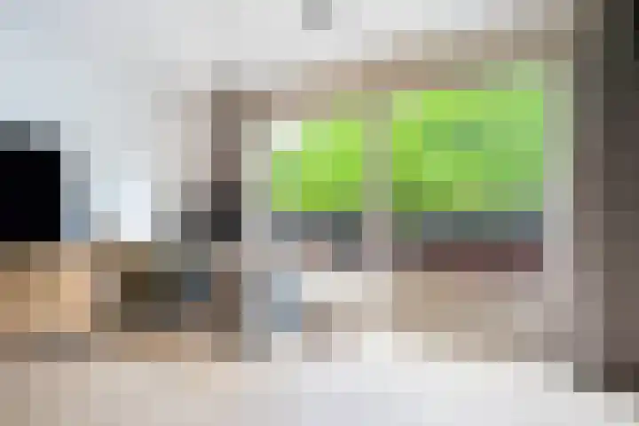Erfgooiersstraat 604 Hilversum thumbnail 8
