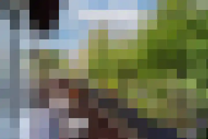 Erfgooiersstraat 604 Hilversum thumbnail 9