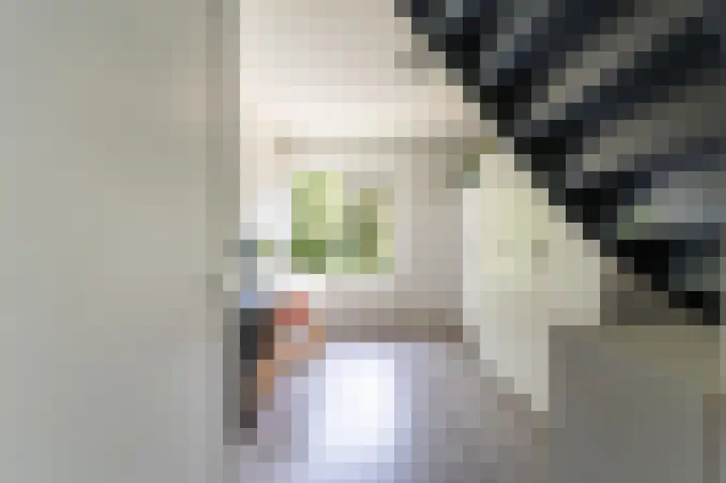 Erfgooiersstraat 615 Hilversum thumbnail 22