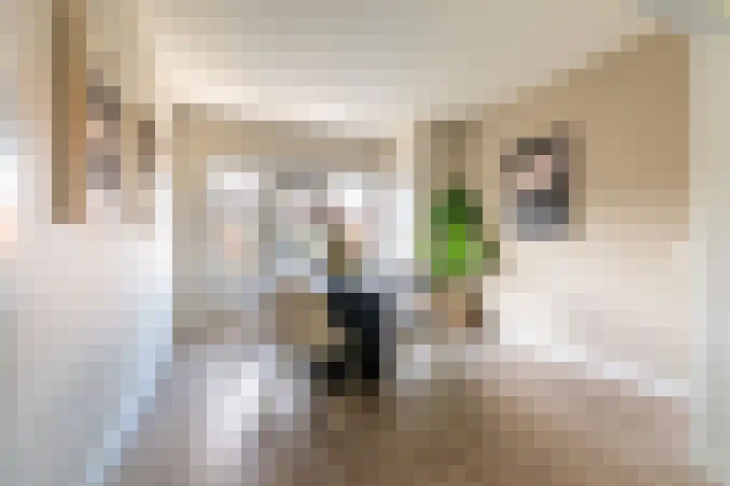 Erfgooiersstraat 615 Hilversum thumbnail 7