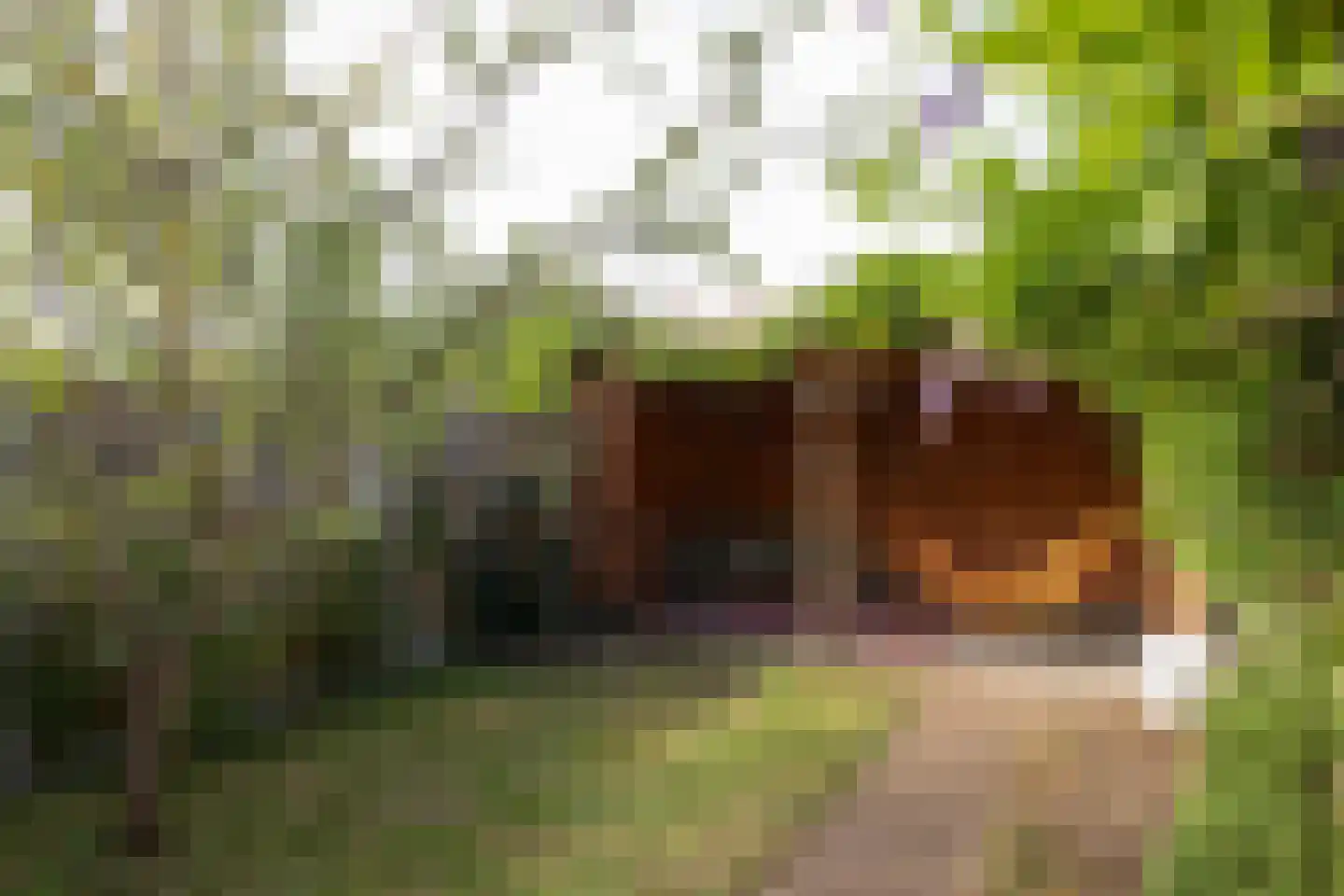 Erfgooiersstraat 73 Hilversum thumbnail 26
