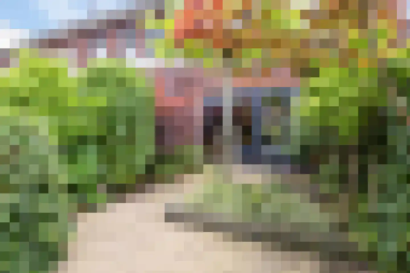 Erfprins 16 Oegstgeest thumbnail 16
