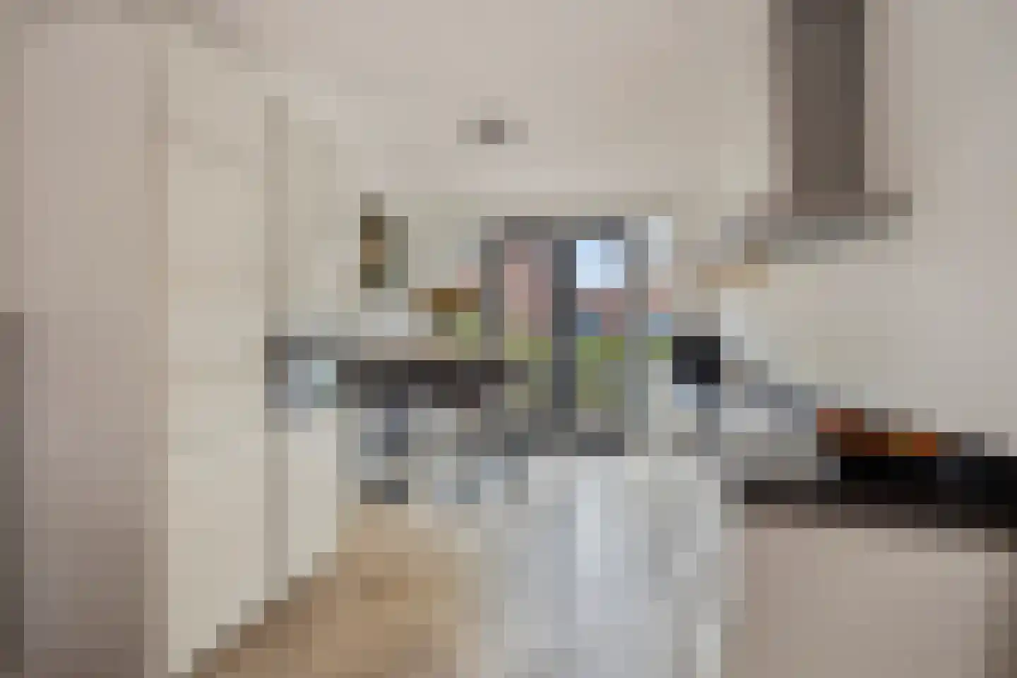 Erfprins 32 Oegstgeest thumbnail 13
