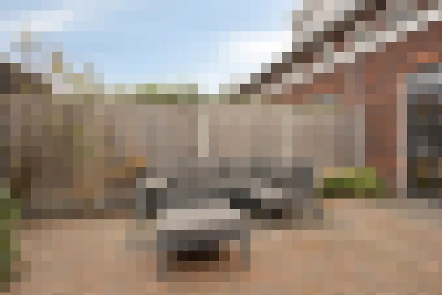 Erfprins 32 Oegstgeest thumbnail 20
