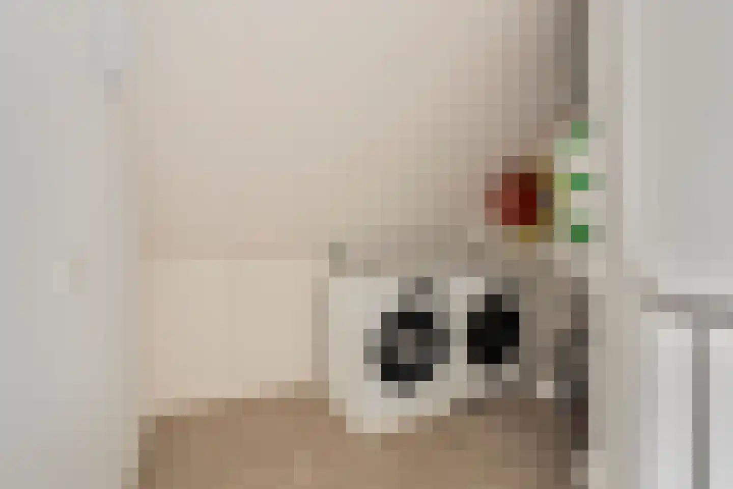 Erfprins 32 Oegstgeest thumbnail 35