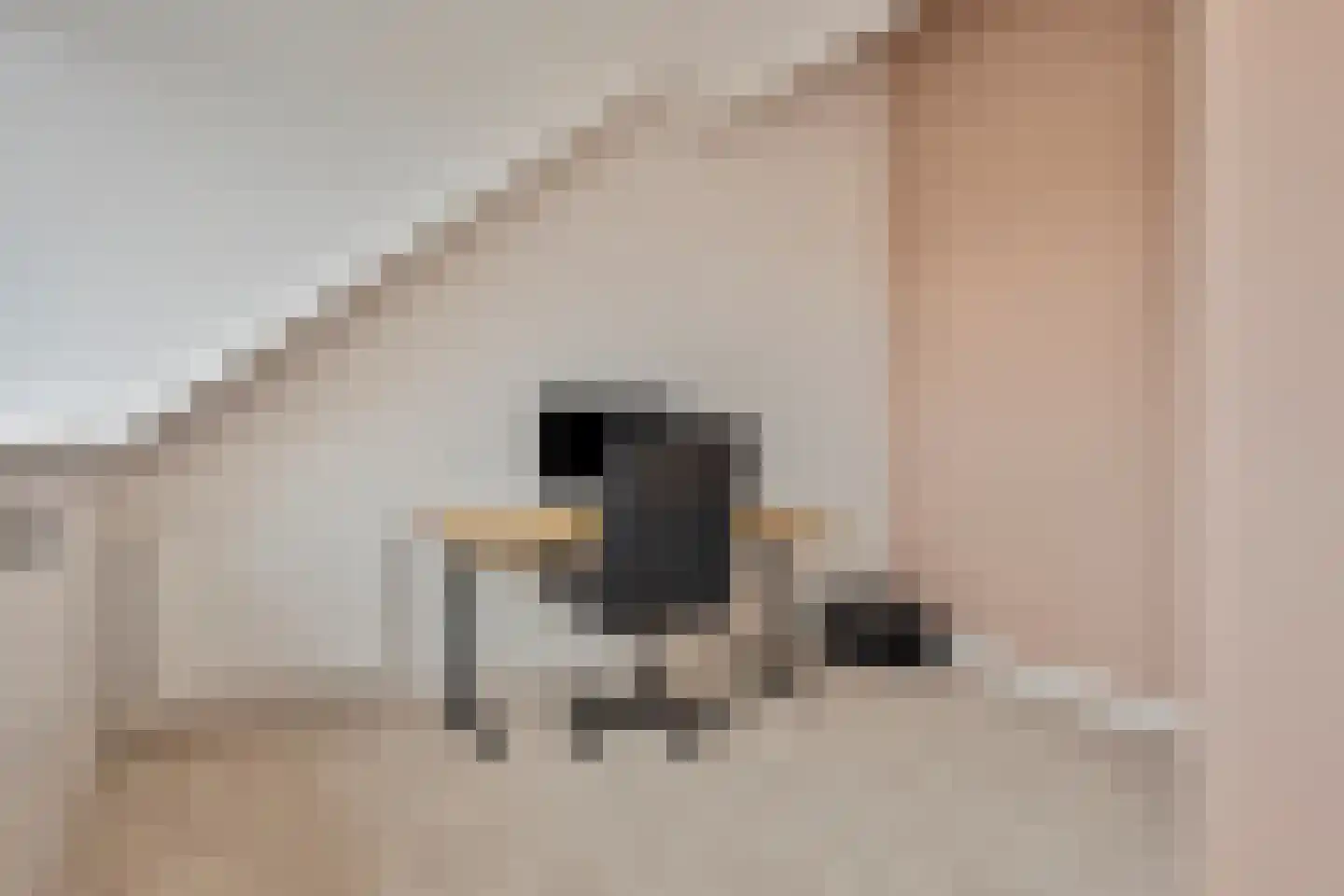 Erfprins 32 Oegstgeest thumbnail 36