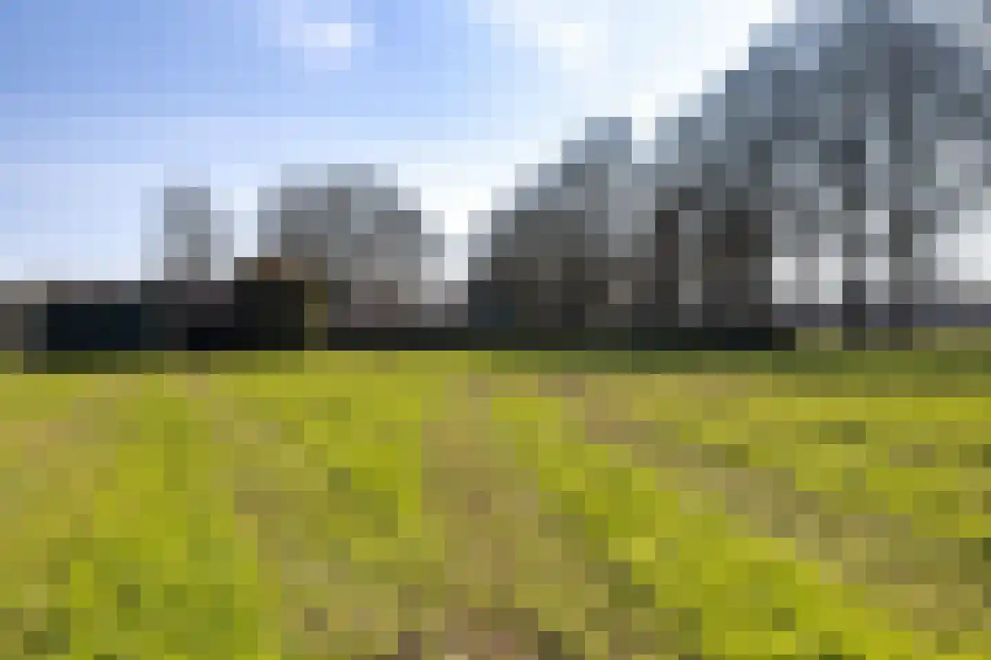 Erfscheidenweg 32 Nieuw-Amsterdam thumbnail 37