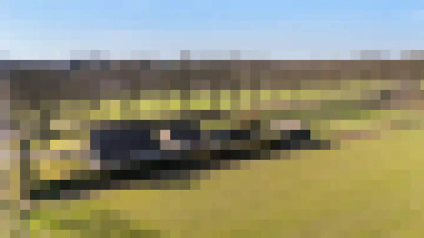 Erfscheidenweg 32 Nieuw-Amsterdam thumbnail 41
