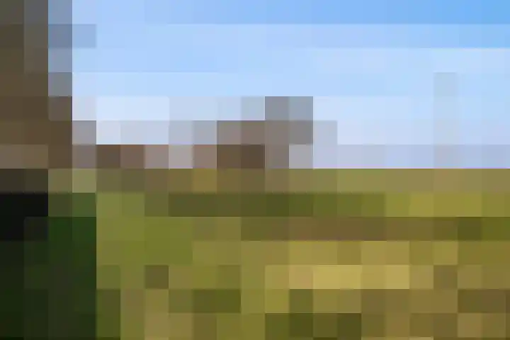 Erfscheidenweg 32 Nieuw-Amsterdam thumbnail 43