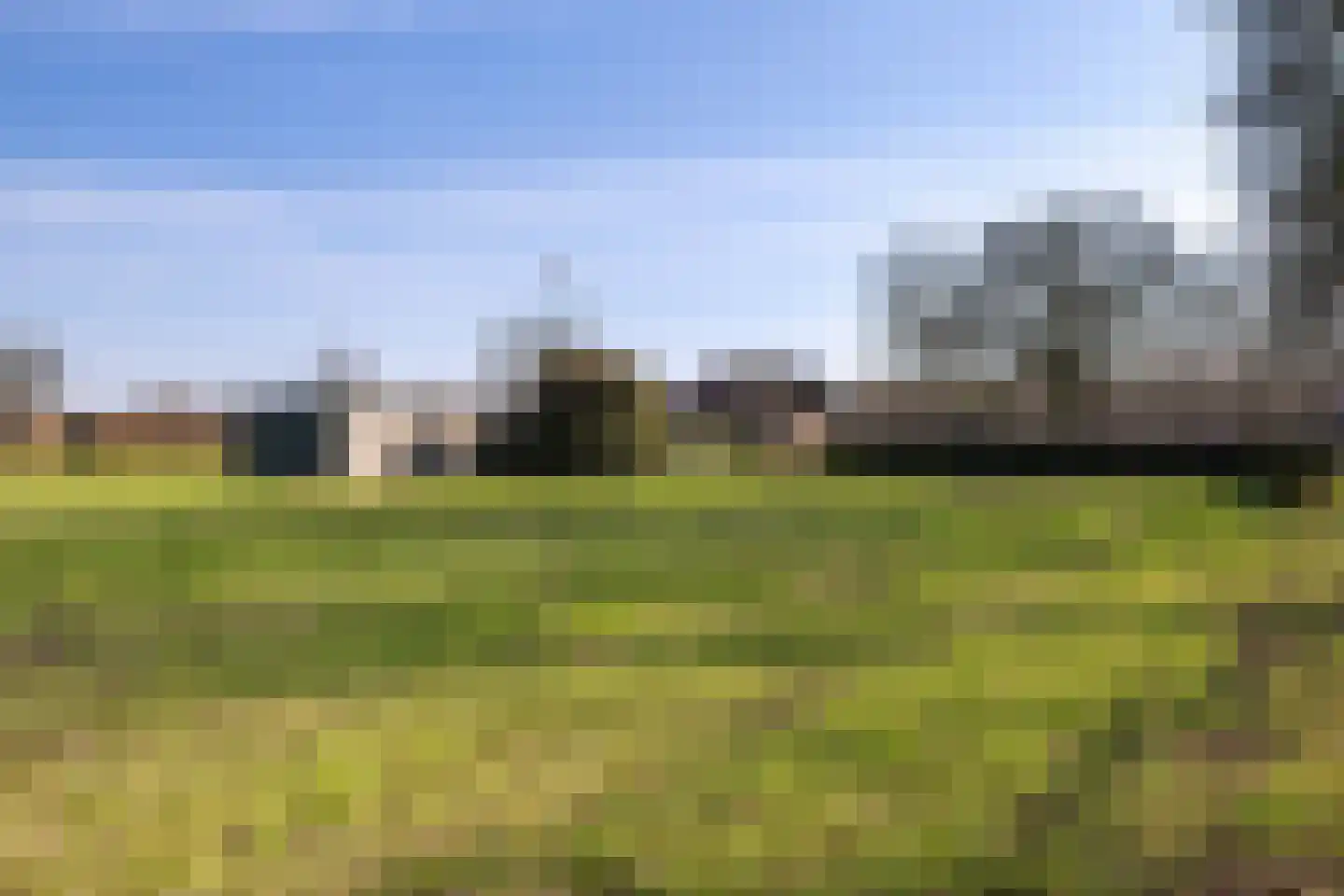 Erfscheidenweg 32 Nieuw-Amsterdam thumbnail 48