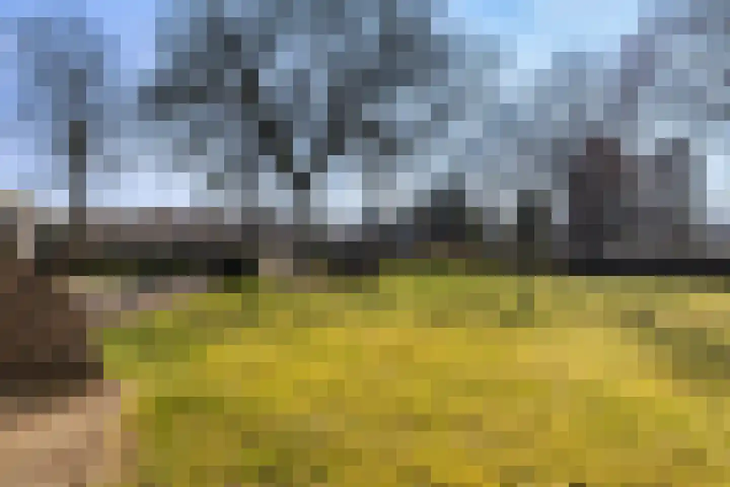 Erfscheidenweg 32 Nieuw-Amsterdam thumbnail 49
