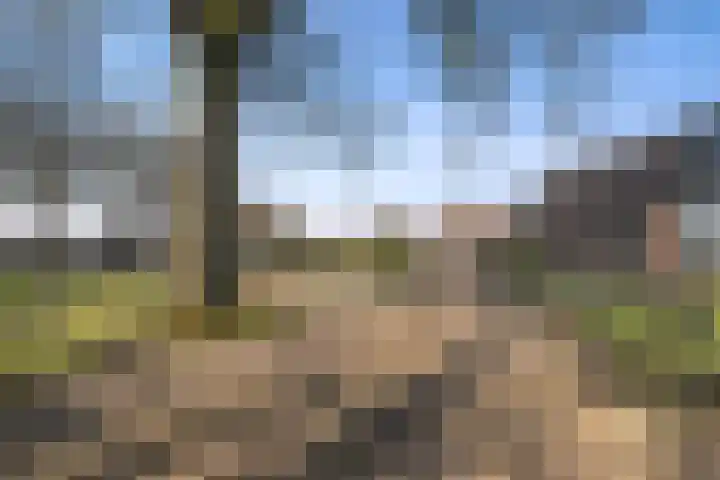 Erfscheidenweg 32 Nieuw-Amsterdam thumbnail 5